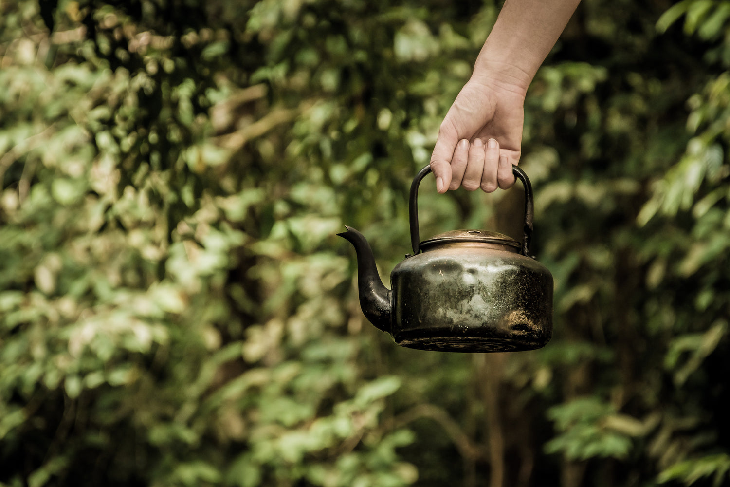 Making Loose Leaf Tea Is a Snap!