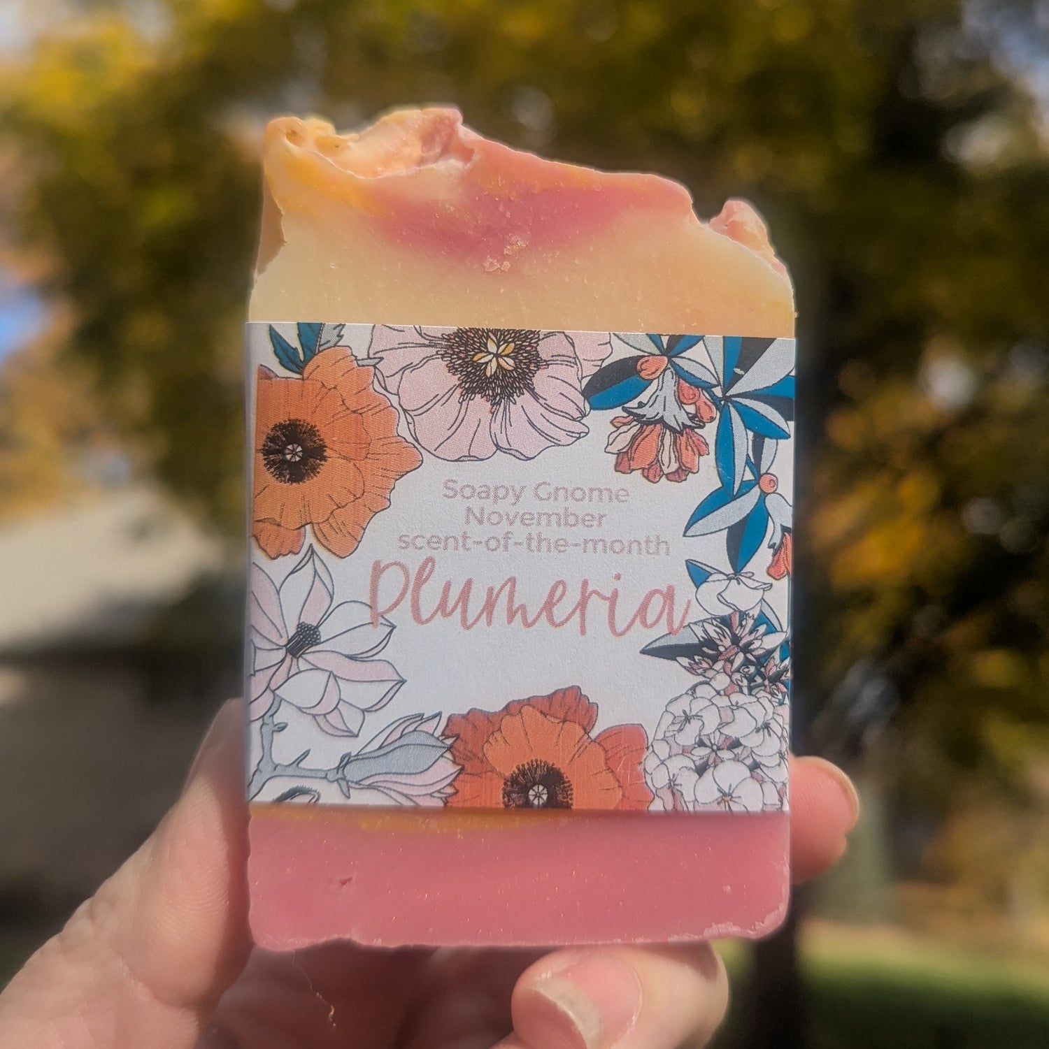 Scent of the Month Soap