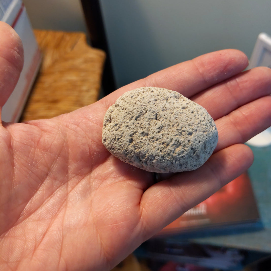 Pumice Stone